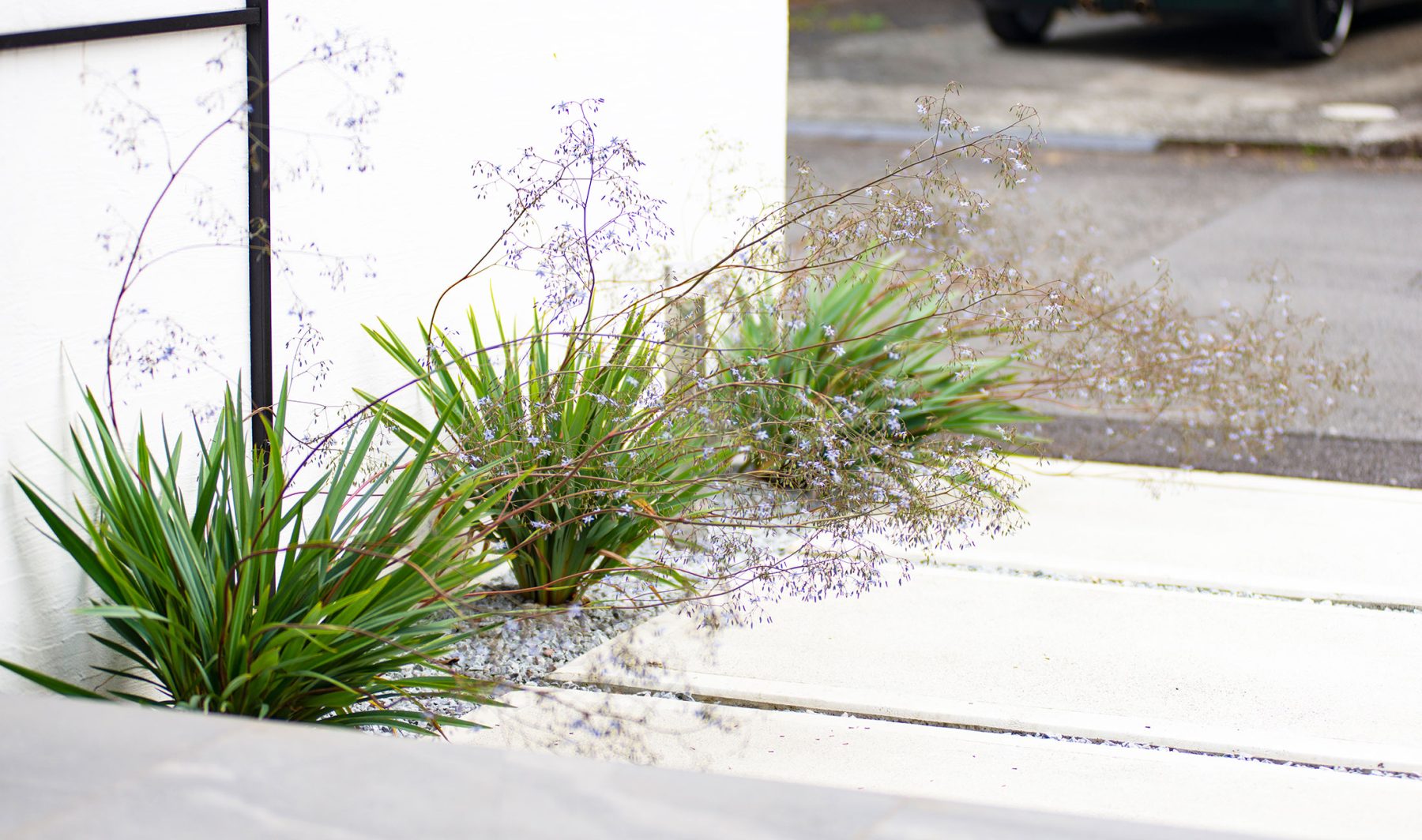 門柱の壁には季節を感じられる植栽