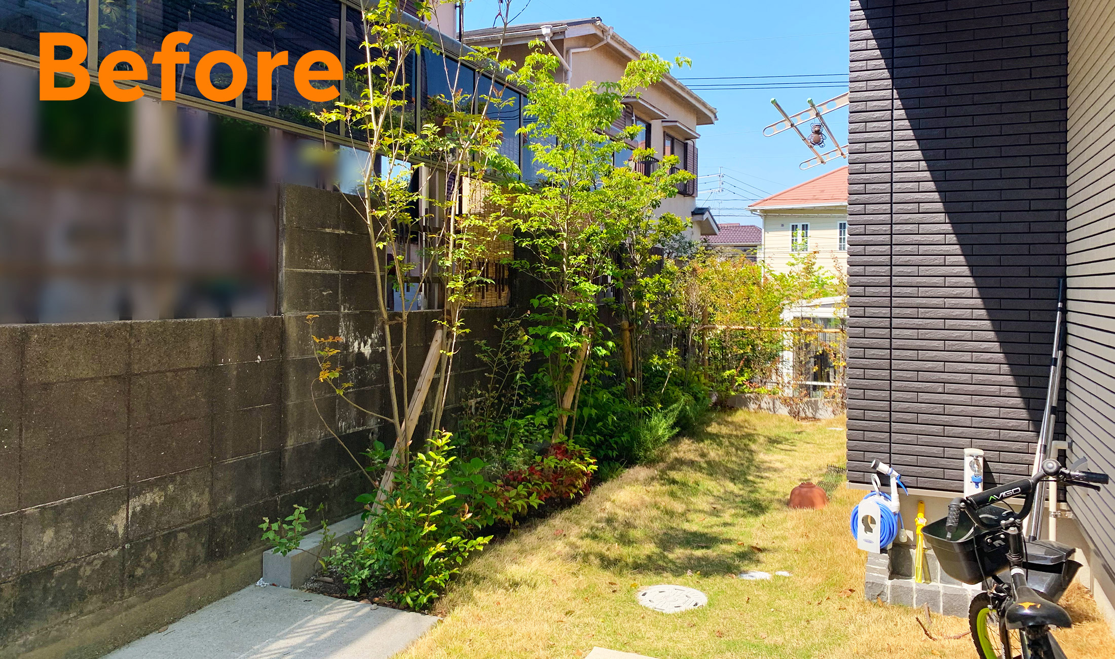 横浜_福岡の庭リフォーム_芝の庭