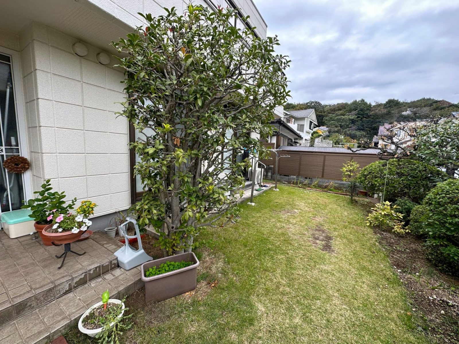 緑が多い庭