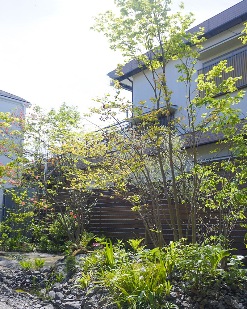 緑京店舗イメージ