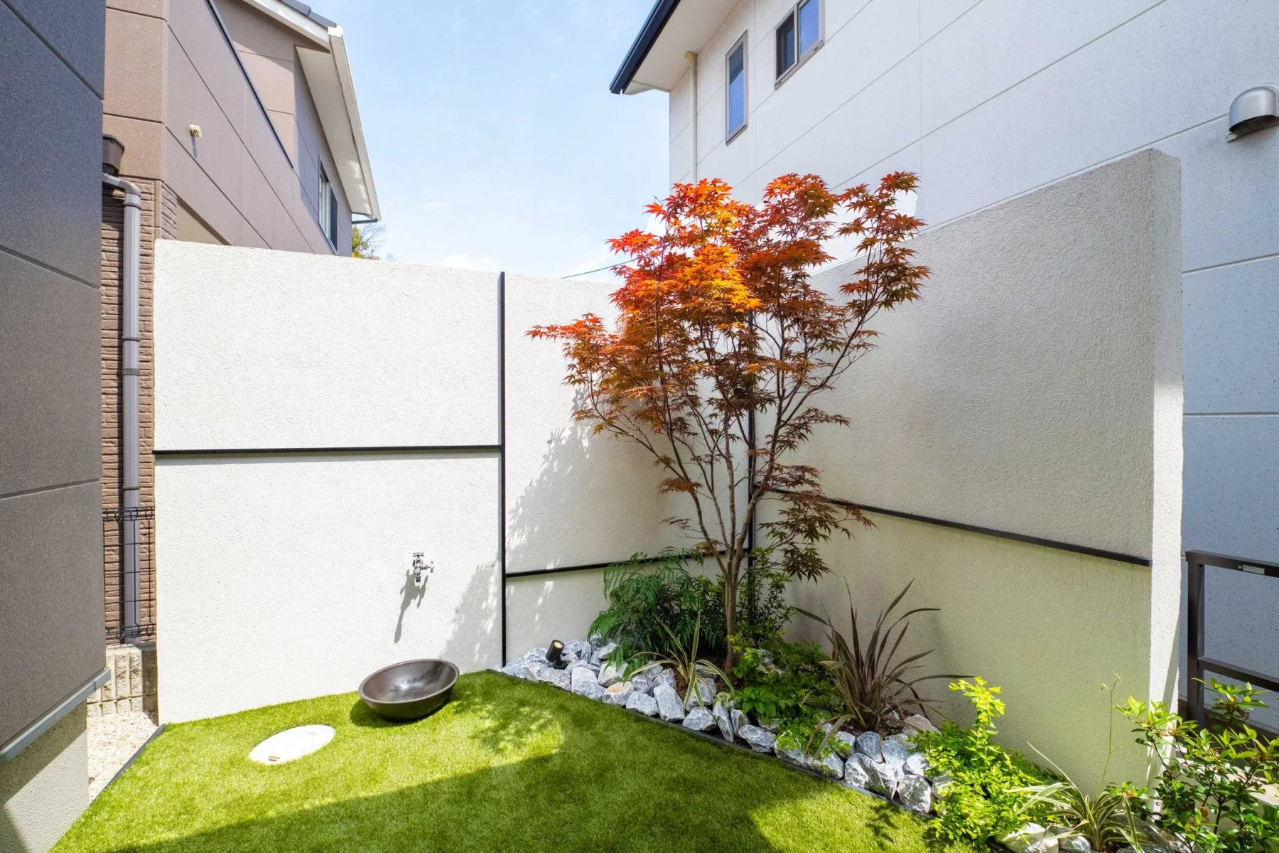 イロハモミジ庭